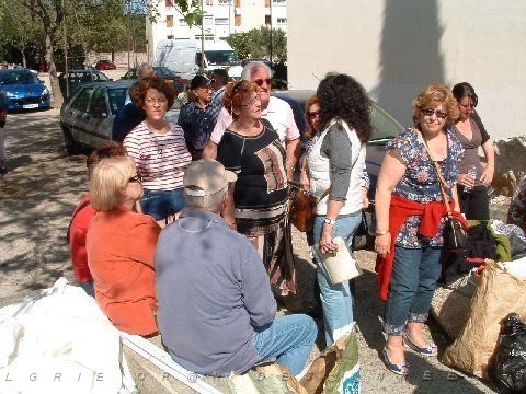 NIMES 2008 28 groupe de Carteaux.jpg